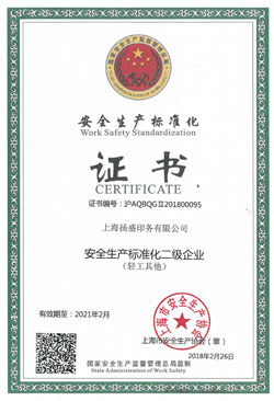 喜訊| 揚盛榮獲安全生產標準化二級證書